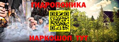 гидропоника Пушкино