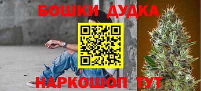 крисы Пыть-Ях