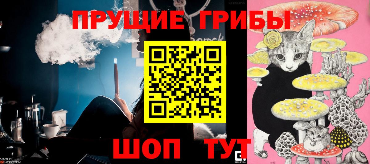 наркота  Вход с VPN  Новороссийск  Псилоцибиновые грибы мицелий  Галлюциногенные грибы MAGIC MUSHROOMS 
