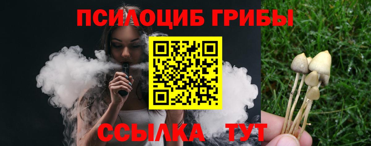 Галлюциногенные грибы ЛСД Новороссийск